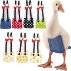QBLEEV Pet Cole Duck Diapers for Baby Ducks, Chicken Diapers for Real Hens, Fashionable Duckling Nappy Poultry Cloth for Indoor Chick Goose Hen - Image 12