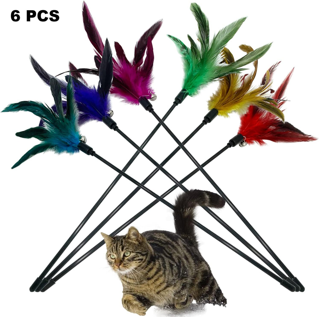 Full product packaging view of the imported six pack cat exercise wand kit