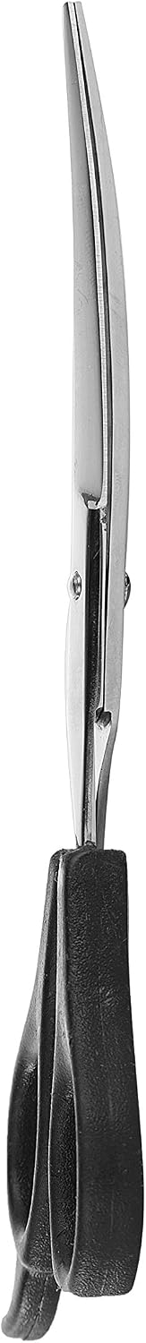 Professional dog grooming using Laazar 5.5 inch shears