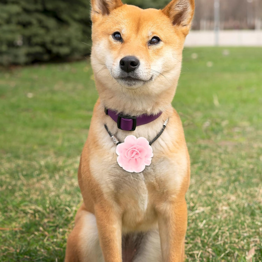 Lightweight and durable InnoHHustle dog collar slide-on charms arranged for party styling.