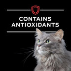 Purina Pro Plan Veterinary Diets DM Dietetic Management Feline Formula Wet Cat Food - (Pack of 24) 5.5 oz. Cans - Image 9
