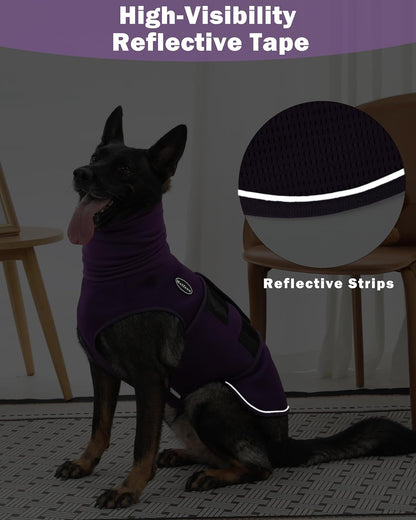 Small dog feeling calm wearing Meifsou hooded anxiety vest