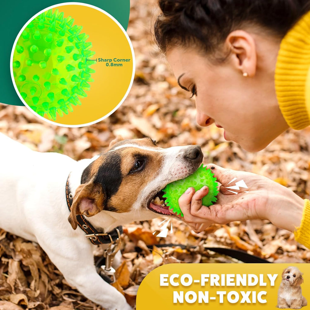 Multicolor Puptily dog toy balls for training