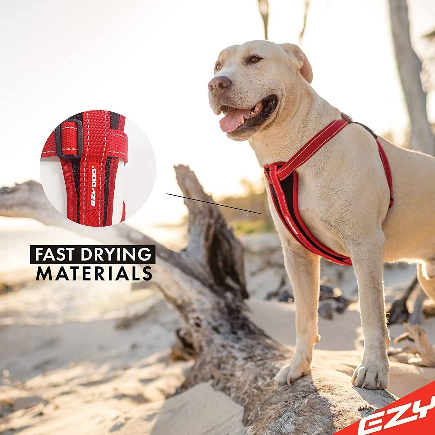 EzyDog chest plate harness reflective stitching safety feature
