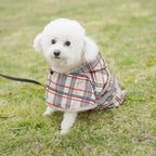 Breathable puppy raincoat with elastic buckle hood adjustment close up