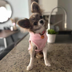 Jacko and Co breathable pet vest apparel for small dogs detailed texture