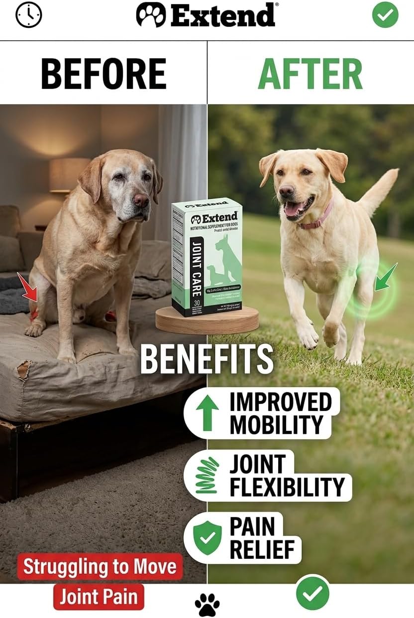 60 count box of Extend pet joint care formula single serve pouches