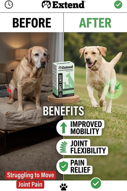 60 count box of Extend pet joint care formula single serve pouches