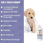 Calm lavender essential oil infused pet grooming shampoo close up view.