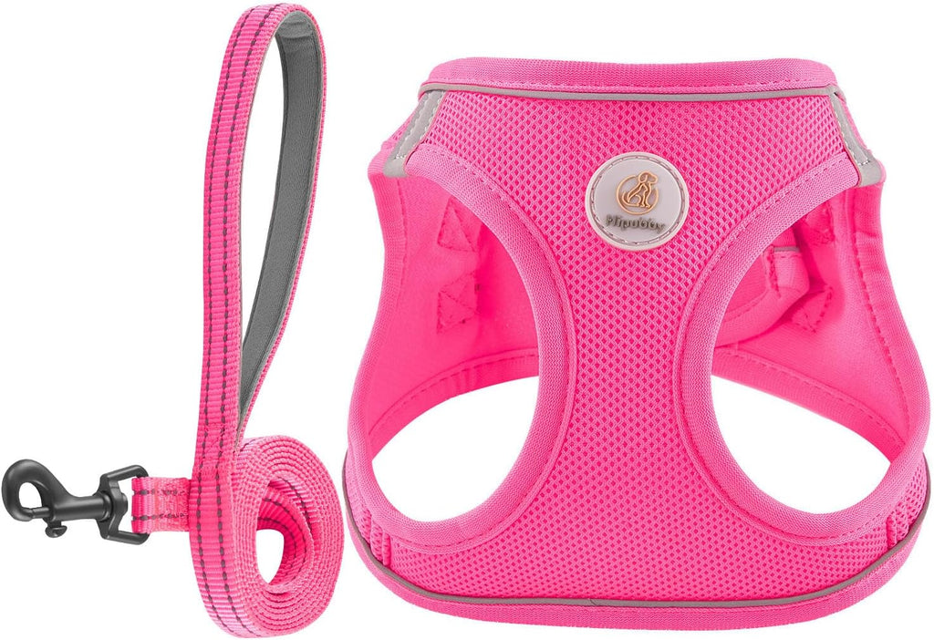 Hipubby comfortable non choking step in puppy walking harness with leash