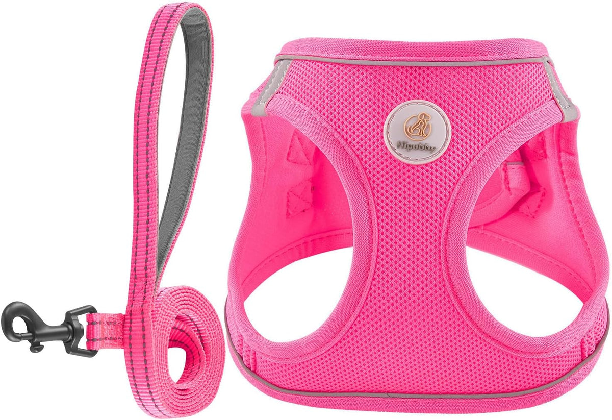 Hipubby comfortable non choking step in puppy walking harness with leash