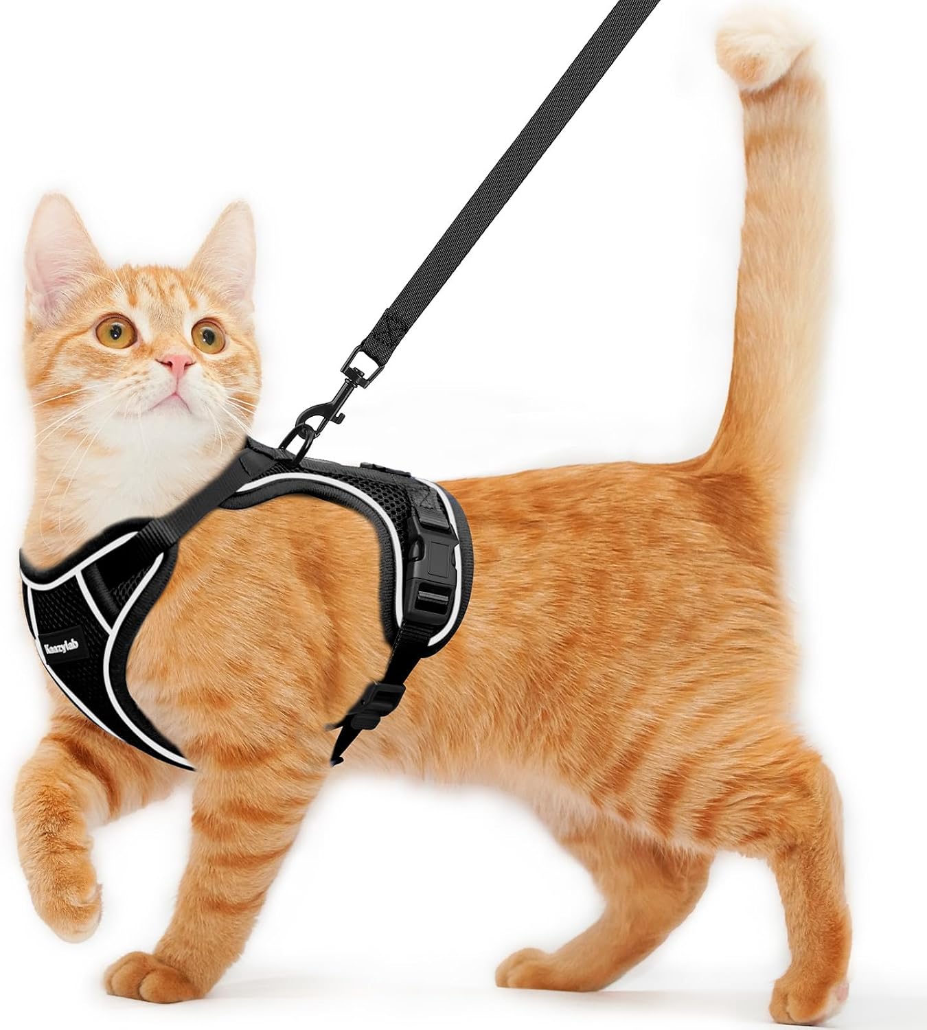 Cat Harness and Leash for Walking Escape Proof Soft Adjustable Cat Leash Breathable Comfortable Vest Easy to Wear Kitten Harness for Outdoor Travel (Pink, S (7-12lb)) - Image 10
