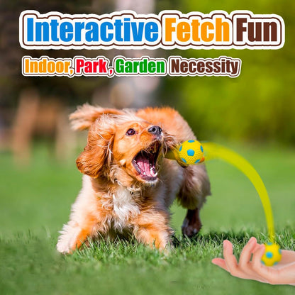 Safe non toxic chewing toys for Chihuahuas and small puppies