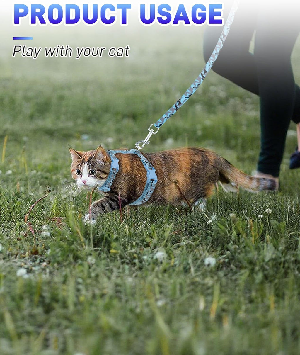 Side view of cat walking with Gaahkai adjustable harness