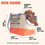 Small dog resting comfortably inside Monchouchou canvas carrier
