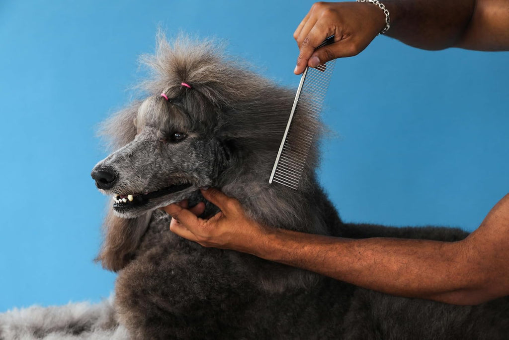 Andis seven point five inch dog comb displaying rounded tips for safe grooming