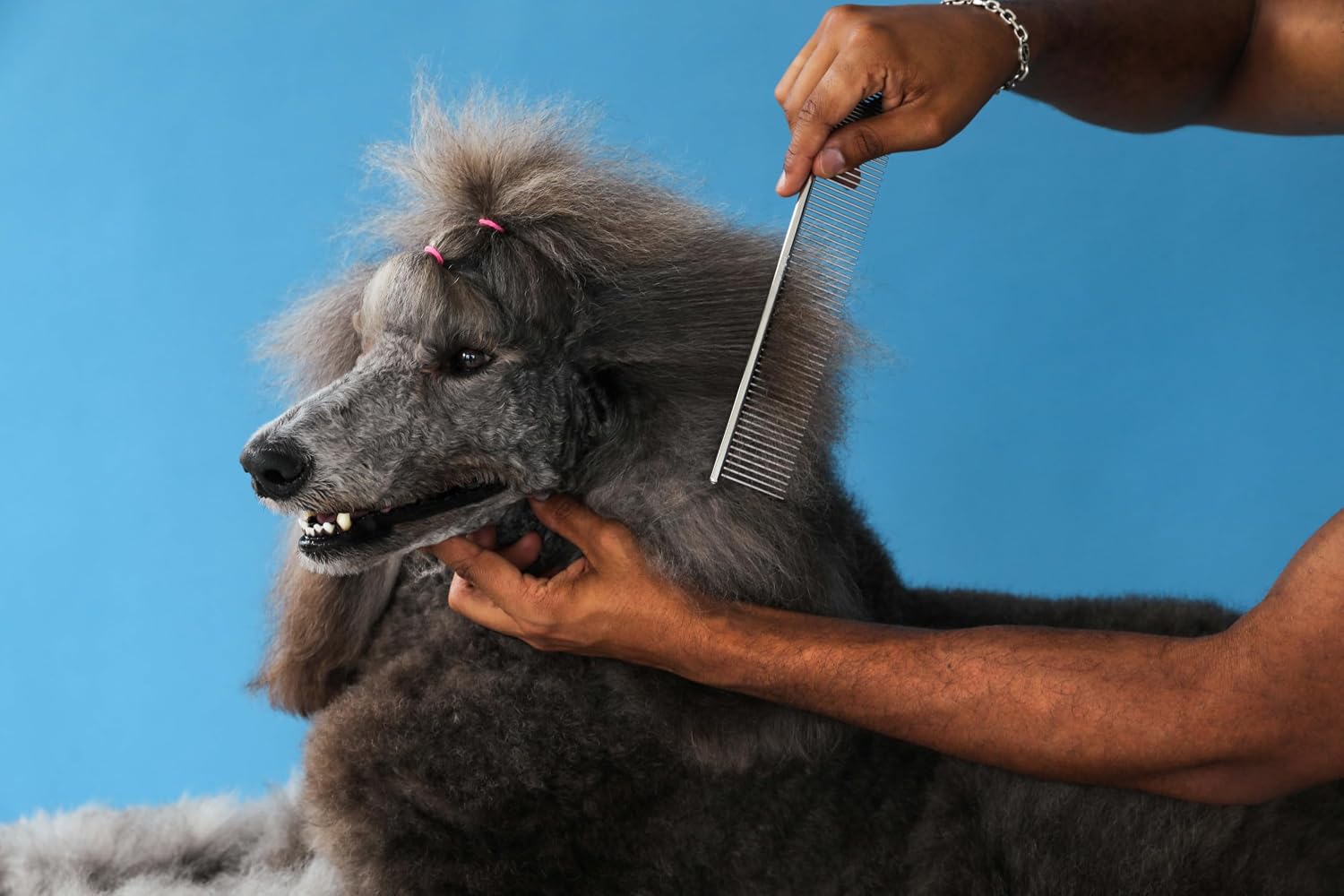 Andis seven point five inch dog comb displaying rounded tips for safe grooming
