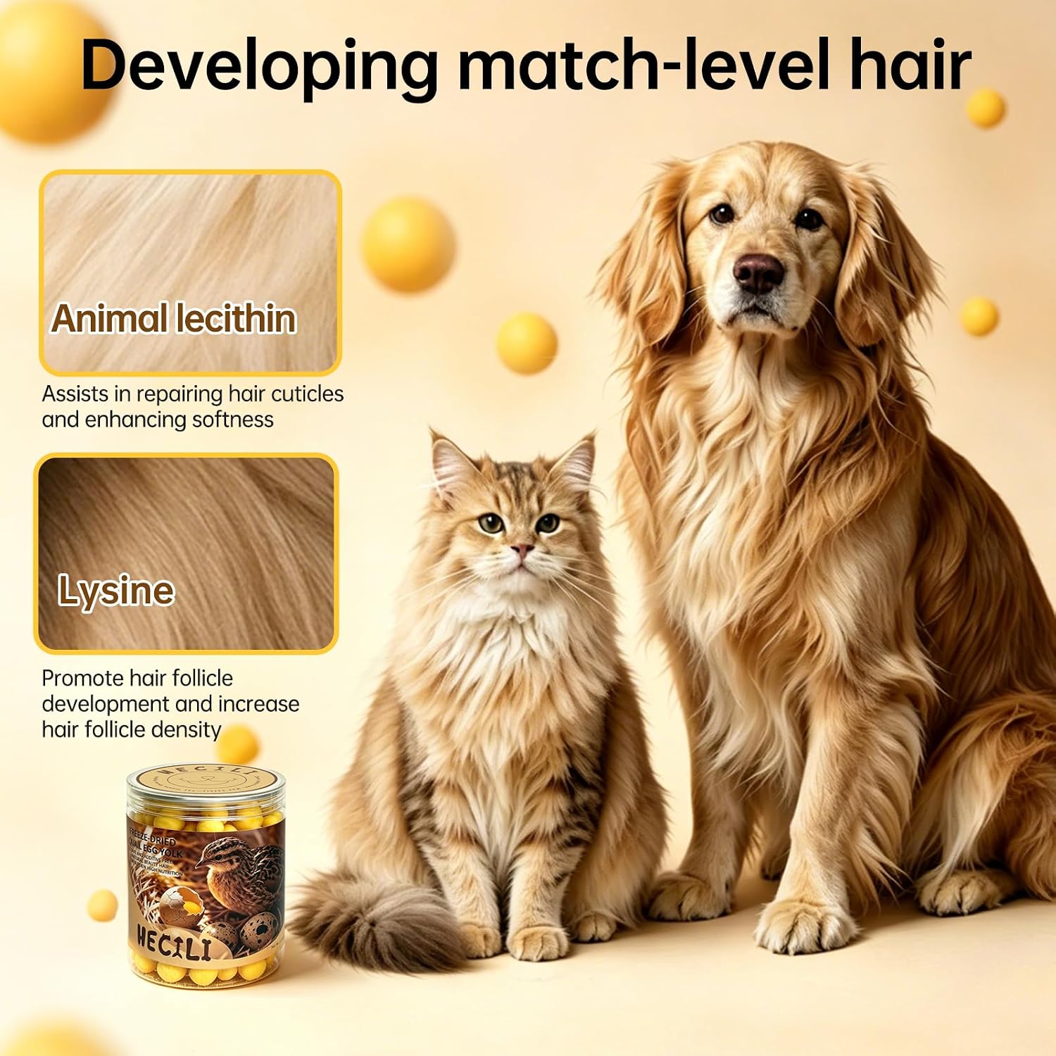 Premium imported pet health supplement showing the freeze drying technology benefits diagram.