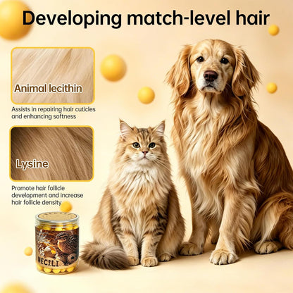 Premium imported pet health supplement showing the freeze drying technology benefits diagram.