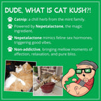 Cat Kush organic catnip green label design