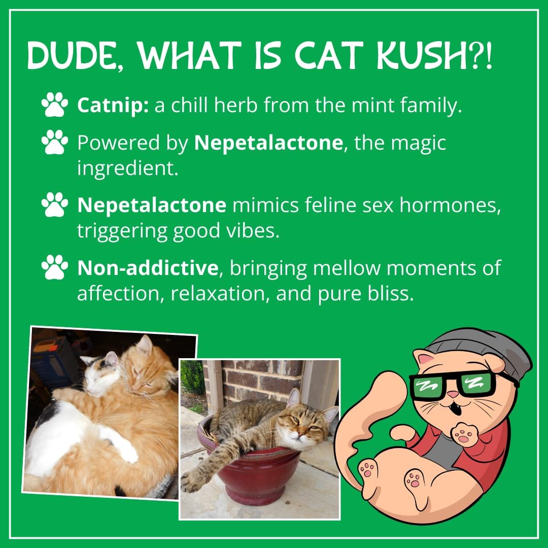 Cat Kush organic catnip green label design