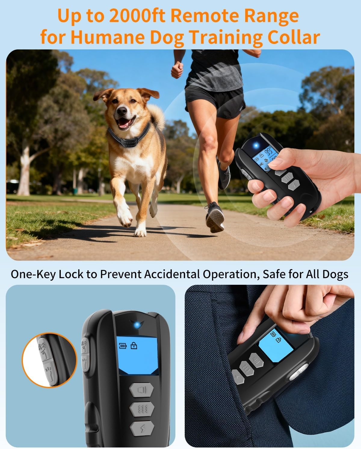 Dog wearing black rechargeable training collar