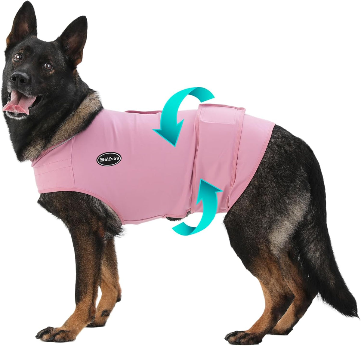 Dog wearing Meifsou anxiety vest during a thunderstorm