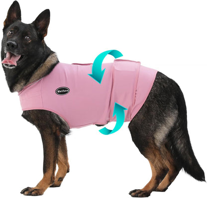 Dog wearing Meifsou anxiety vest during a thunderstorm