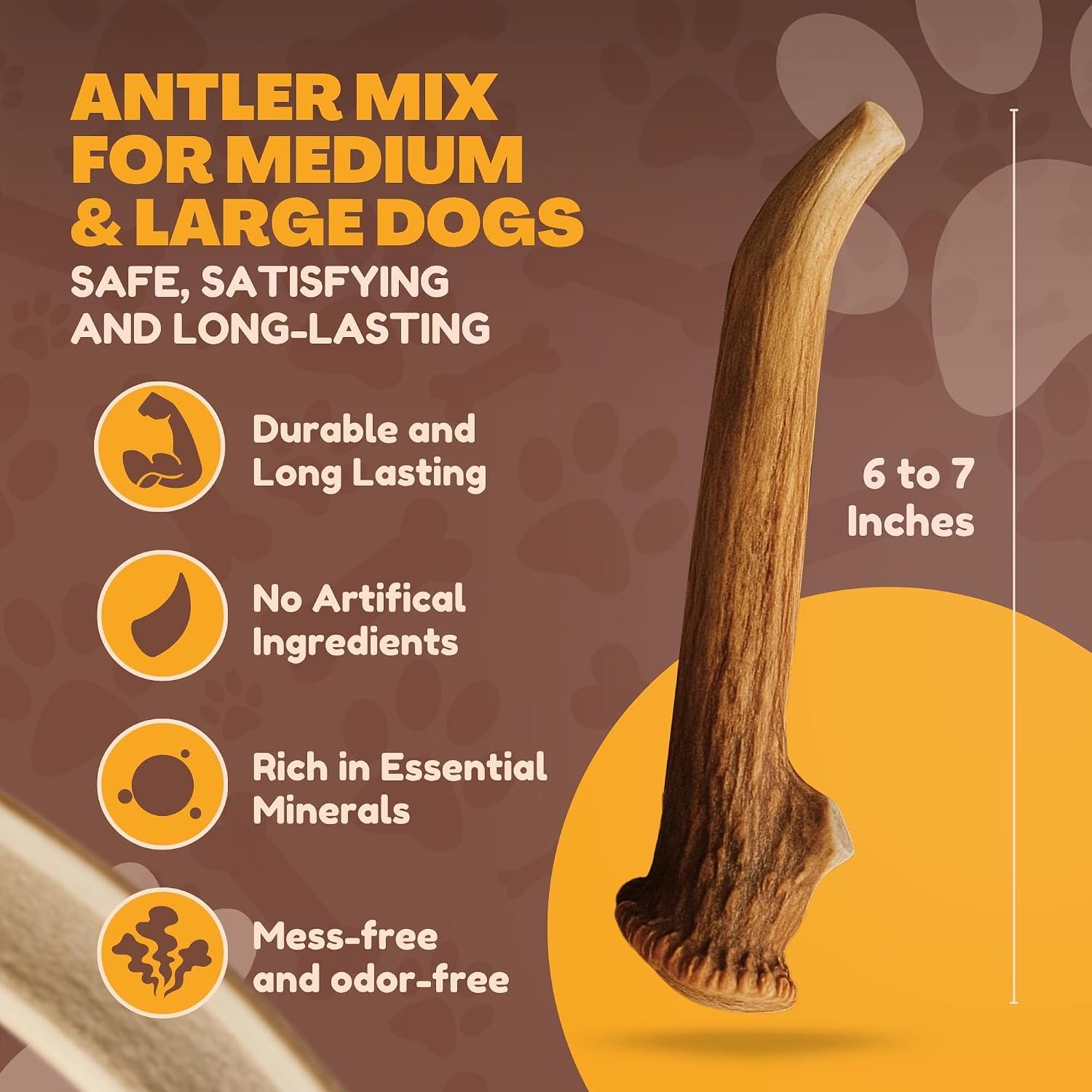 Close up view of hand sanded smooth edges on WhiteTail Naturals grade A premium dog antler chews.