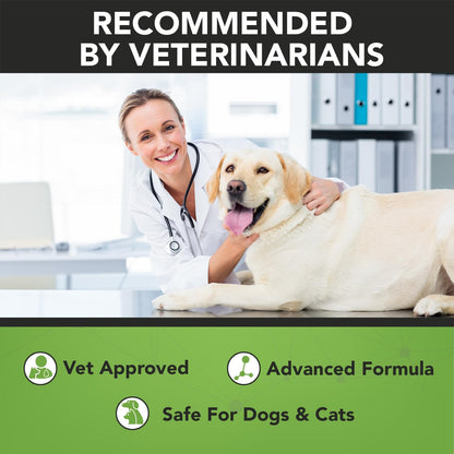 Using Noveha ear wipes on a dog ear