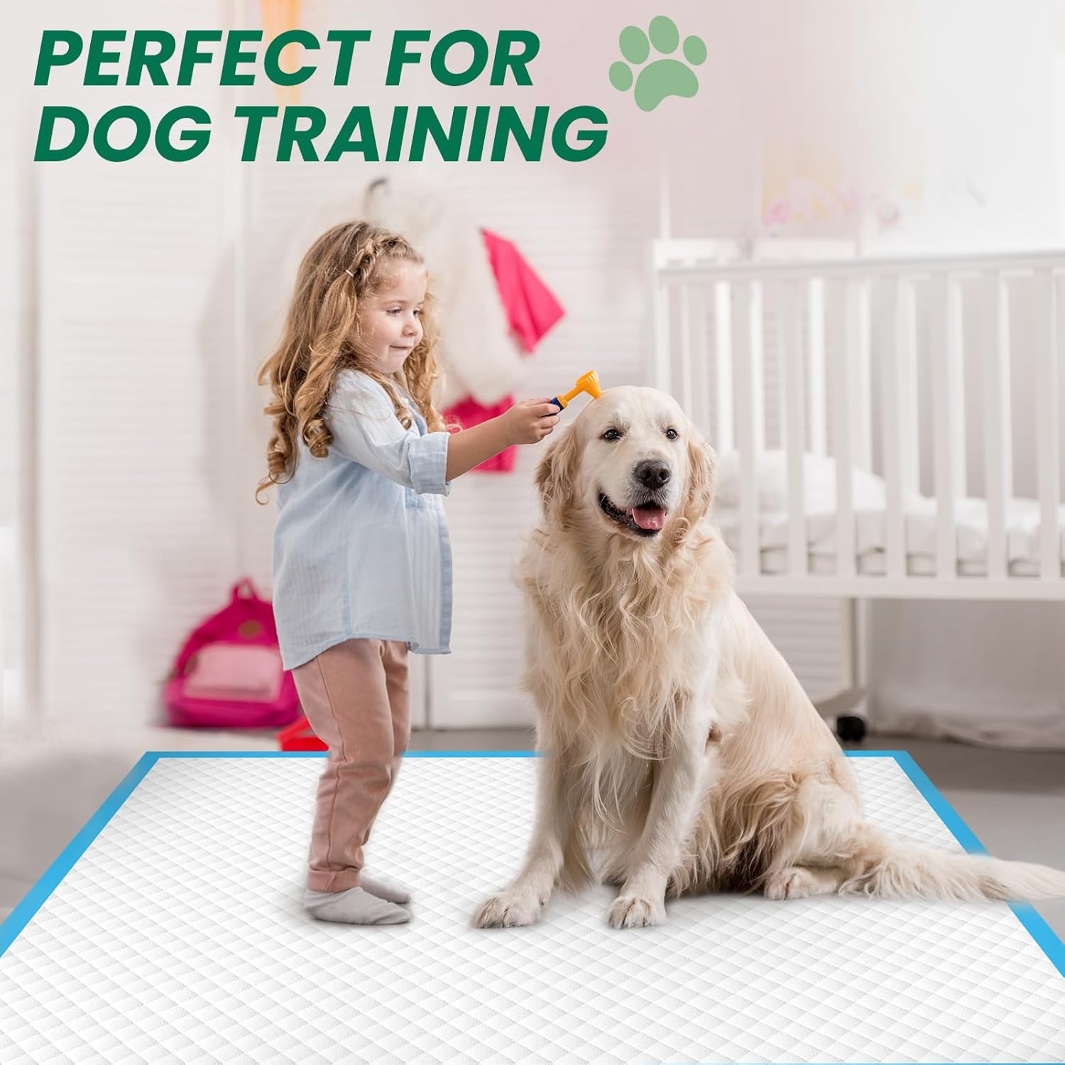 IMMCUTE 100 pack bulk box packaging showing authentic USA imported pet care product details.