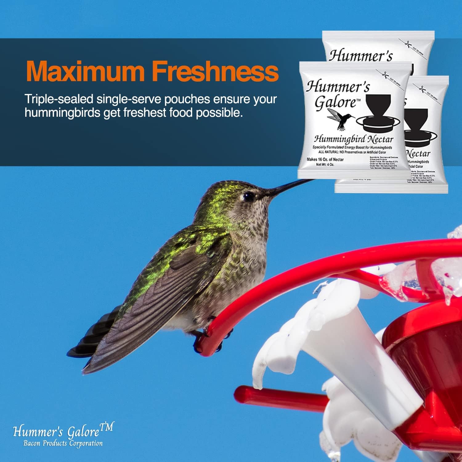 Close up of Hummers Galore nectar box branding