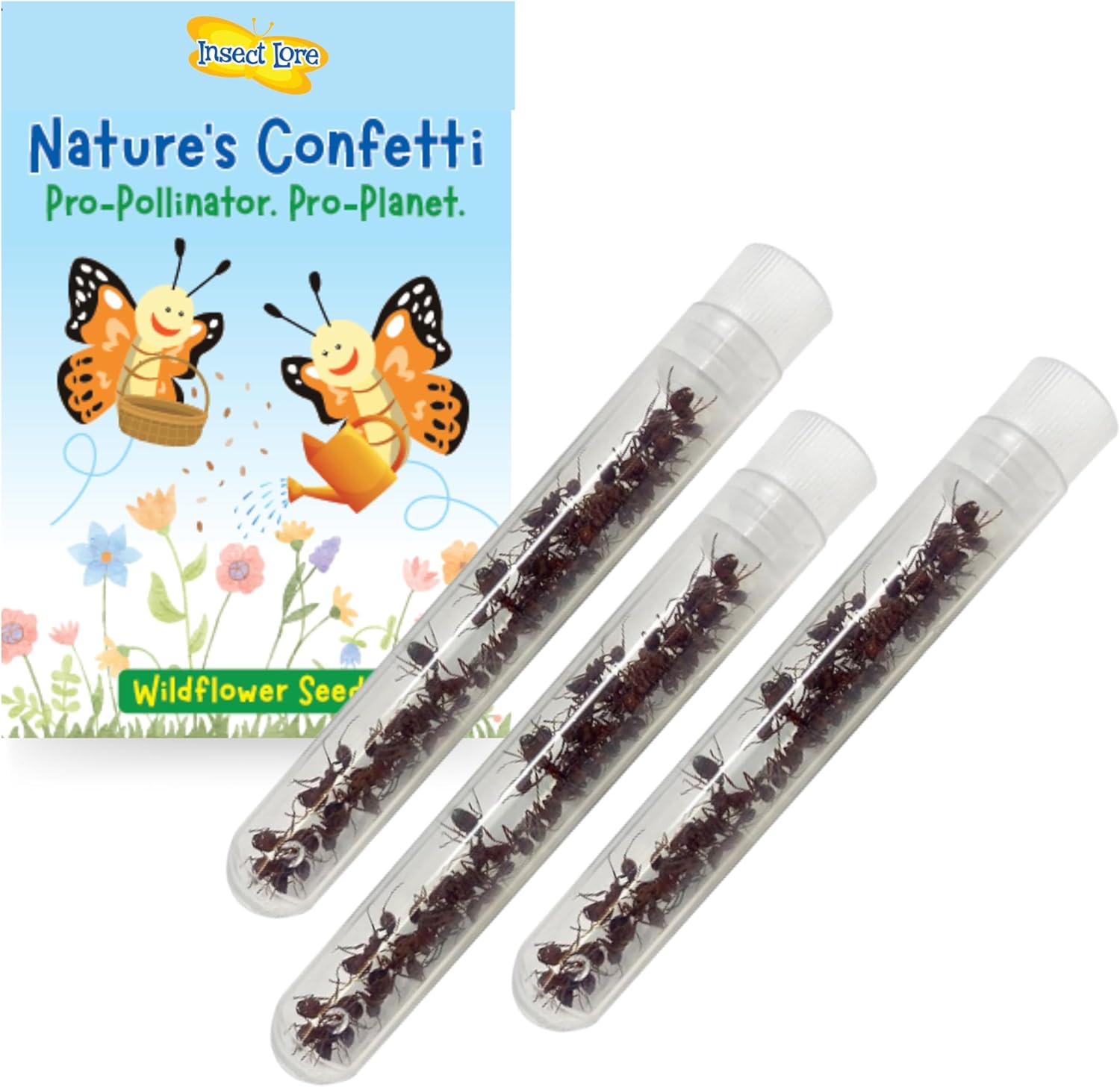 Insect Lore 75 Native Western Harvester Ants front packaging view with live ant tubes