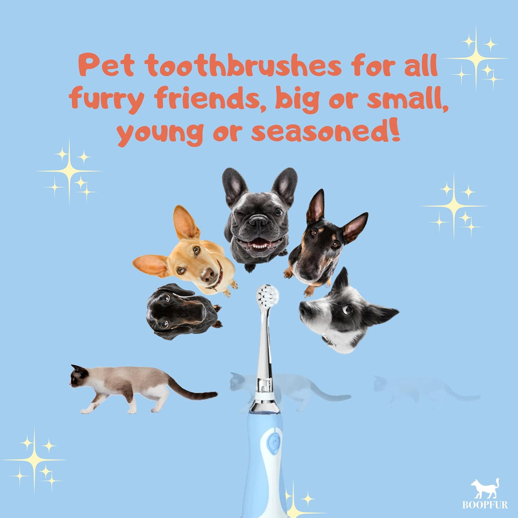 Generic Pet Electric Toothbrush for Dogs and Cats with LED Light & Soft Bristles, Blue/White - Image 9