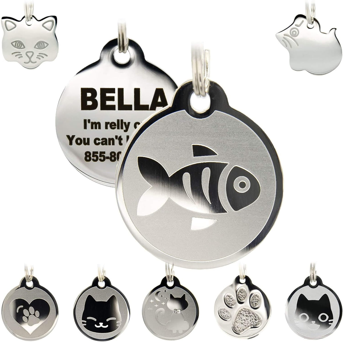 Complete cat collar accessory package with ring and tag