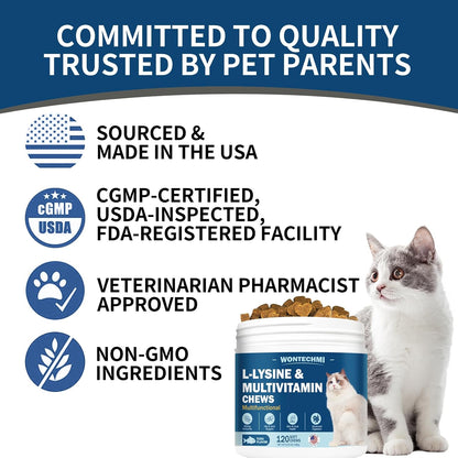 Back label details of Wontechmi L Lysine for cats highlighting respiratory health benefits.