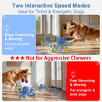 Qraxond automatic jumping dog ball being held to demonstrate the motion-activated core.