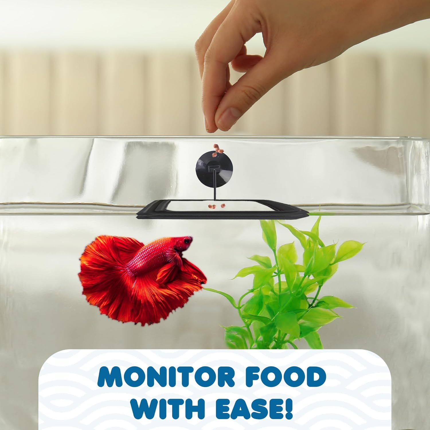 Dual feeding zones setup using multiple floating rings to manage aggressive fish.