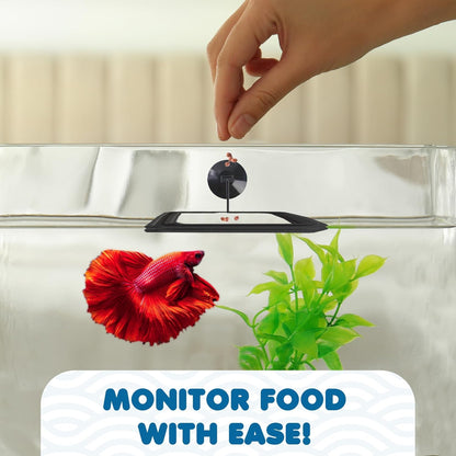 Dual feeding zones setup using multiple floating rings to manage aggressive fish.
