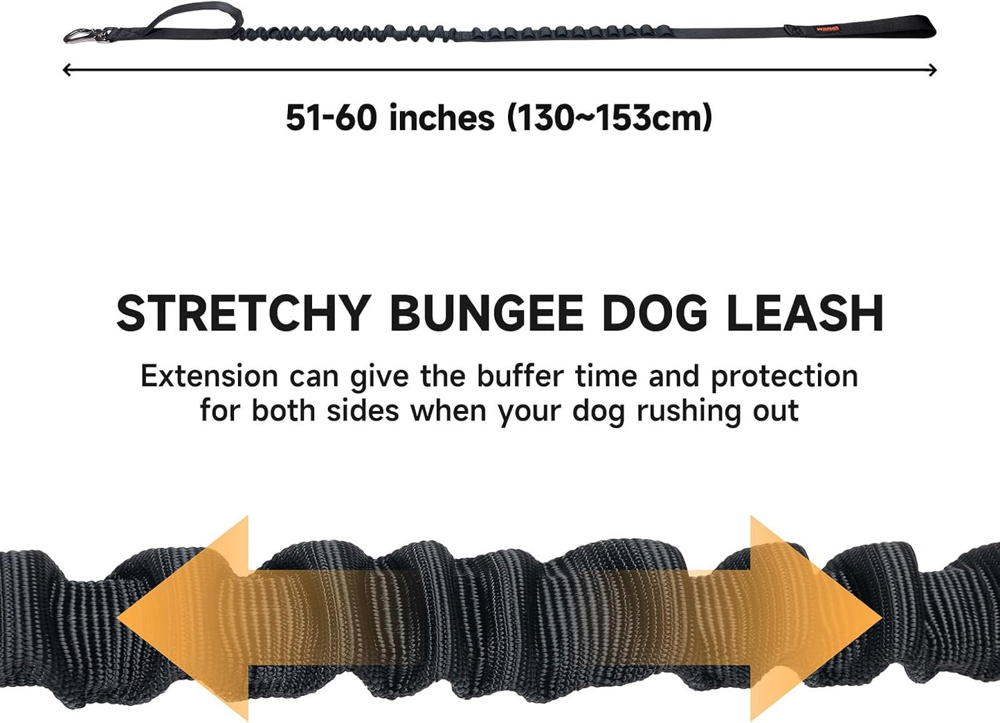 Excellent Elite Spanker military elastic pet leash close-up of the shock absorbing bungee section