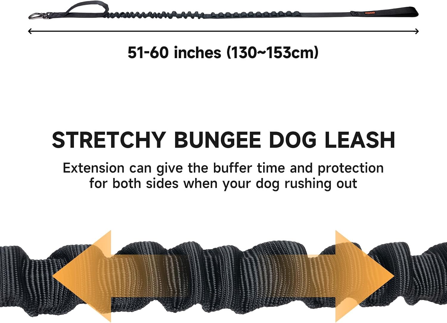 Excellent Elite Spanker military elastic pet leash close-up of the shock absorbing bungee section