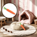 Premium imported USA pet care kitten teething relief toy set for indoor cats