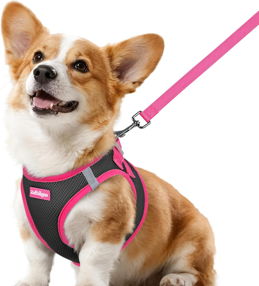 rabbitgoo Dog Harness Small Sized and Leash Set, Step-in Breathable Pet Harness, Soft Walking Reflective Puppy Vest for Small Dogs, Black & Rose Red, S - Image 9