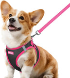 rabbitgoo Dog Harness Small Sized and Leash Set, Step-in Breathable Pet Harness, Soft Walking Reflective Puppy Vest for Small Dogs, Black & Rose Red, S - Image 9