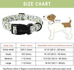 Aring Pet dinosaur collar for small breeds