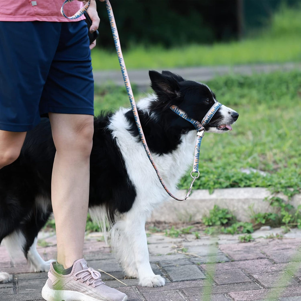 Size chart visual for Barkless dog snout and neck harness