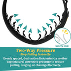 Black adjustable martingale collar side profile on a large dog