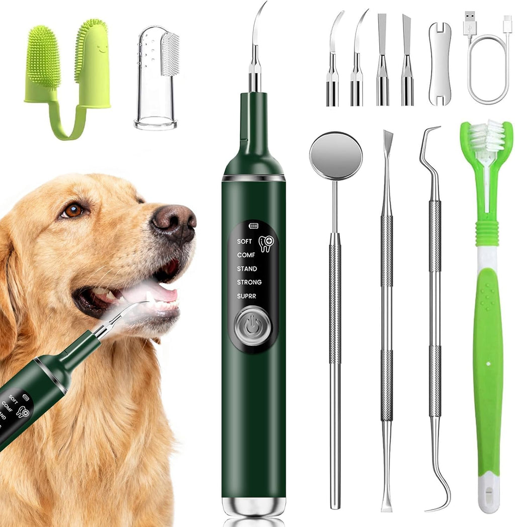 Pet Ultrasonic Tooth Cleaner,Dog Plaque Remover Tool,White | dog teeth cleaning,plaque remover for teeth,dog tartar and plaque remover,plaque off for dogs,5 Mode Pet Teeth Cleaning Kit - Image 11