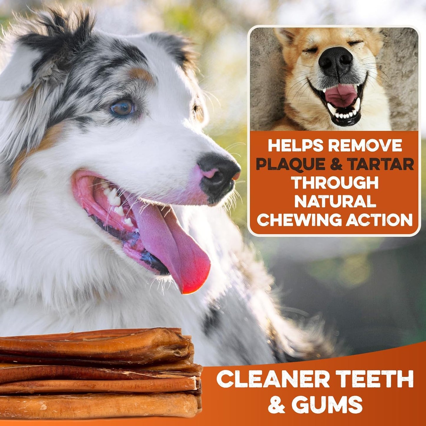 Twelve count pack of odor free rawhide alternative chews