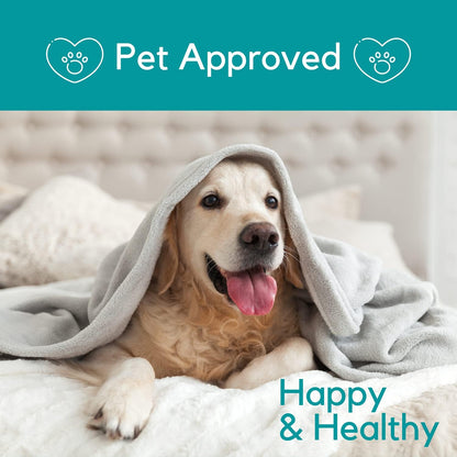 Natural calming aid liquid supplement for dogs and cats
